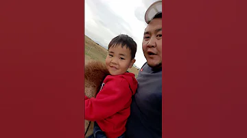 My Son 2020 