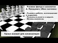 Размен фигур в шахматах.  А  Нимцович "Моя Система"/ Уроки шахмат для начинающих.
