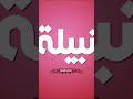 اغنية بأسم نبيلة الجزء الثانى اغنية بأسم نبيلة الجزء الثانى
