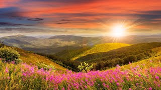 1 Saatli̇k Huzur Veri̇ci̇ Sesler Doğa Sesleri̇ , İlkbahar Sesleri̇