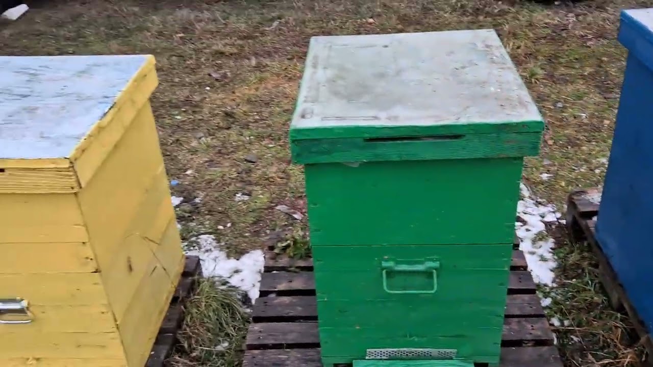 Sa-u trezit din hibernare !