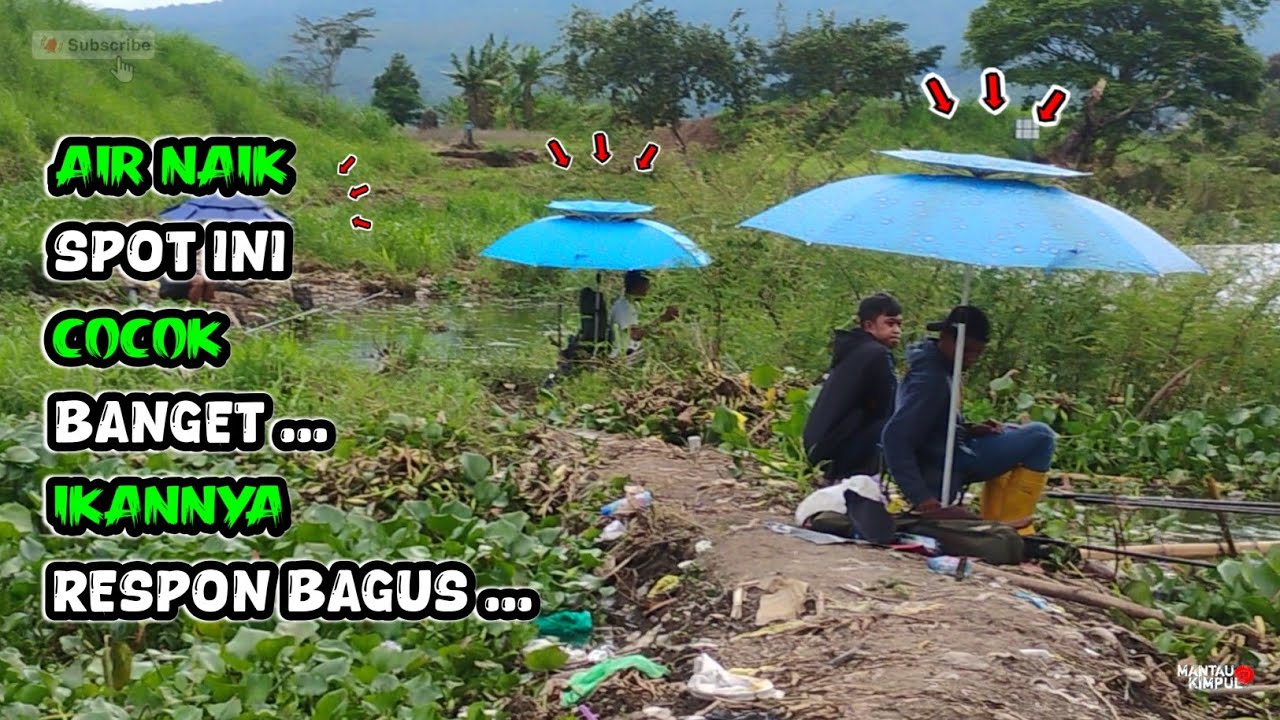 Spot Ini Cocok Saat Air Naik Begini , Respon Ikan Sangat Bagus | Mancing Suku Dalu Ngantang Terbaru