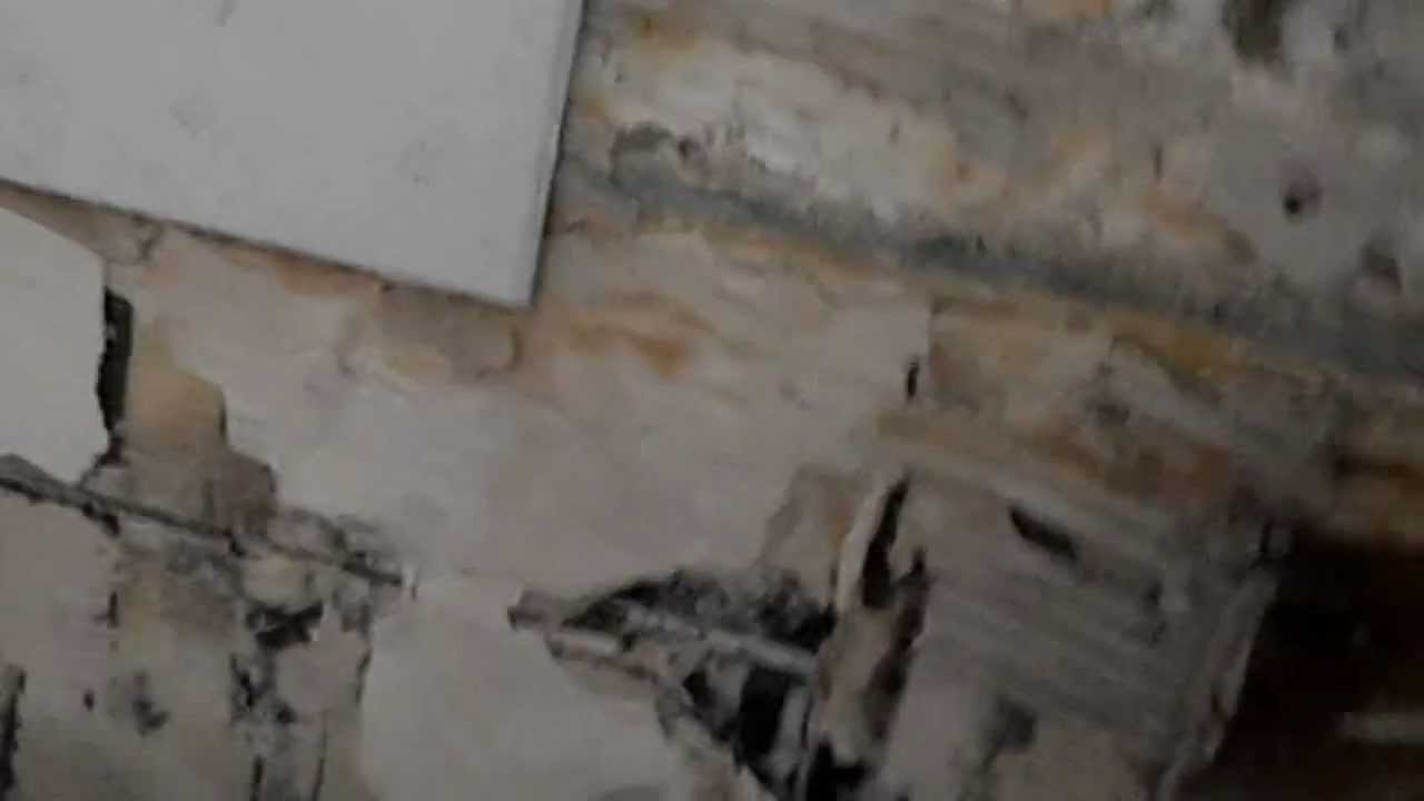 Une cloison détériorée par l'humidité youtube