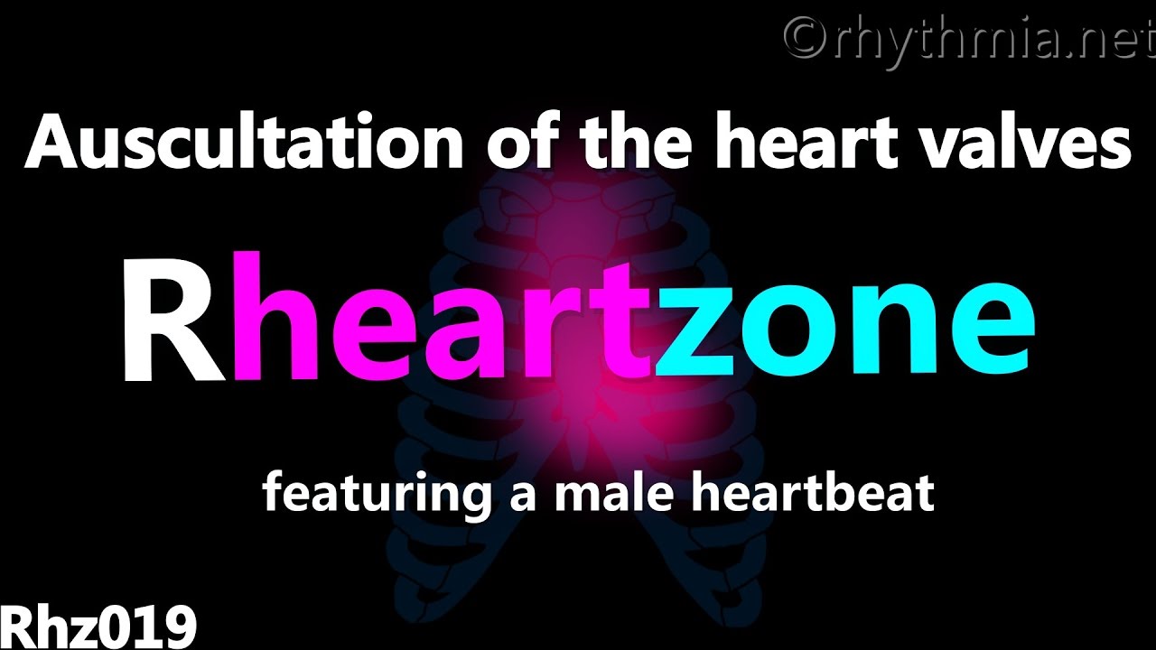 Rhz019 Auscultation of the heart valves (male) Rheartzone Guide YouTube