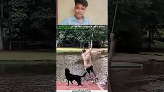 A True Bond: Watch This Owner's Instant Reaction to Save His Dogs! ❤️#shorts