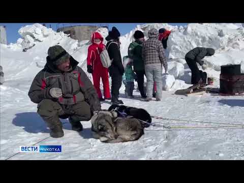 Ход гонки «Надежда»