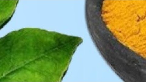 25 दिसंबर बुधवार दशमी तिथि के दिन 1 चुटकी हल्दी वाला ये  उपाय होगी हर मनोकामना||PardeepJiMishra