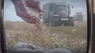 Johnny Sins Video Scene Hard Workers