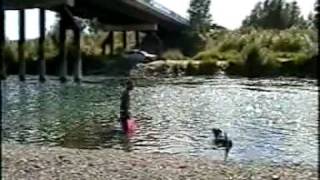 BMX bridge jump vedder river