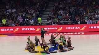 Red Foxes At World Cup 2014 At Bronze Match France-Lithuania