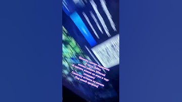 #ксго #кс #csgo #dota  #steam #cs #cs2 #раст #rust #стим #шортс #shorts