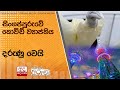 සිංගප්පූරුවේ|sin