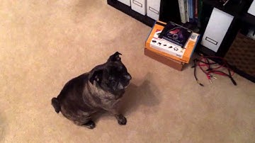 Dell R210ii noise levels