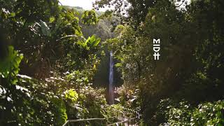 El Mundo - Ajuy (Original Mix)