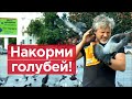 И казалось бы, причем здесь Фургал?