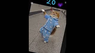 jimin ig story #bts2.0 #igstory #parkjimin #btsmember #jimin #instagramstory #arirang #catdance #bts