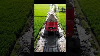 #TruckInMud #RedTruckRescue #RiceFieldChallenge #VolvoAction #HeavyTruckLife #MudAdventure