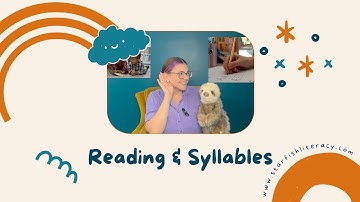 Pre Reading 1 Lesson 4 | Video for preschool, prekindergarten & kindergarten children