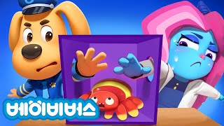 최강 양의 촉감놀이 + 동화모음 | 안전교육 | 애니메이션 | 래브라도 경장 | 베이비버스 | BabyBus