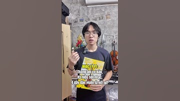 Nhạc ly P1: Thang âm cơ bản, ký hiệu nốt nhạc, 4 dây violin? #violinshop #violin