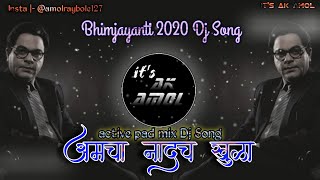 Aamcha Nadach Khula DJ | 💙आमचा नादच खुळा  DJ💙 | It's AK Amol | 2020 New Jay Bhim Song Dj