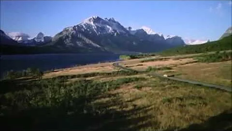 The Shining tracking shots