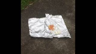 *AWESOME* egg drop in slo-mo and reverse!!