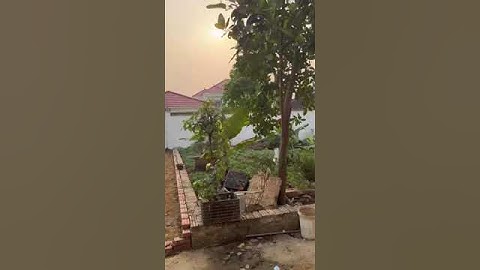 BÁN 60M2 ĐẤT SẴN SỔ TẠI ĐƯỜNG VAI RÉO-PHÚ CÁT-QUỐC OAI