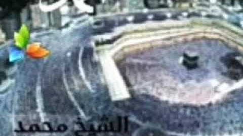 سورة الفيل، الشيخ محمد المحيسني