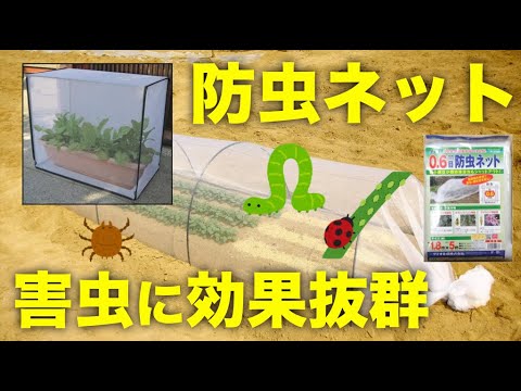 防虫ネット 家庭菜園の防虫ネットの選び方 使い方 ベランダ菜園のプランターにも使える Youtube