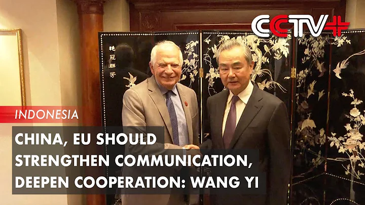 China, EU Should Strengthen Communication, Deepen Cooperation: Wang Yi - DayDayNews