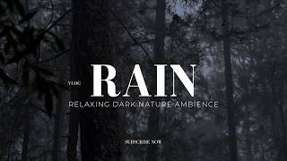 Moody Rain in a Shadowy Forest 🌧️🌲 | Relaxing Dark Nature Ambience
