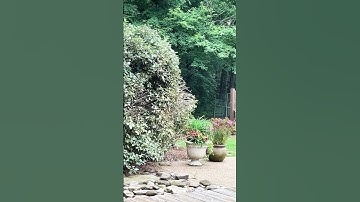 Joel Goldsmith: Spiritual Healing. The Infinite Way is part of my teachings. https://amzn.to/4k9P4MN