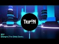 DZP - BHANGRA (Two Birds Remix) (Future Progressive)