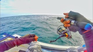 Неожиданные случаи на рыбалке Трофейная рыбалка Приколы на рыбалке