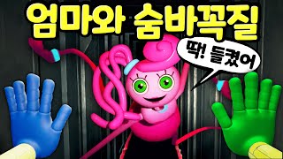 파피플레이타임 챕터2 핑크 엄마 거미 허기워기와 함께 하는 숨바꼭질 대결 Poppy Playtime Chapter 2 Mommy Long Legs Hide & Seek [아려랑]