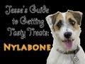 Jesse's Guide to Getting Tasty Treats: Nylabone