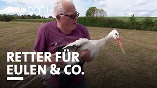 Der Vogel-Versteher:  Retter für Eulen und Co. | SWR Doku