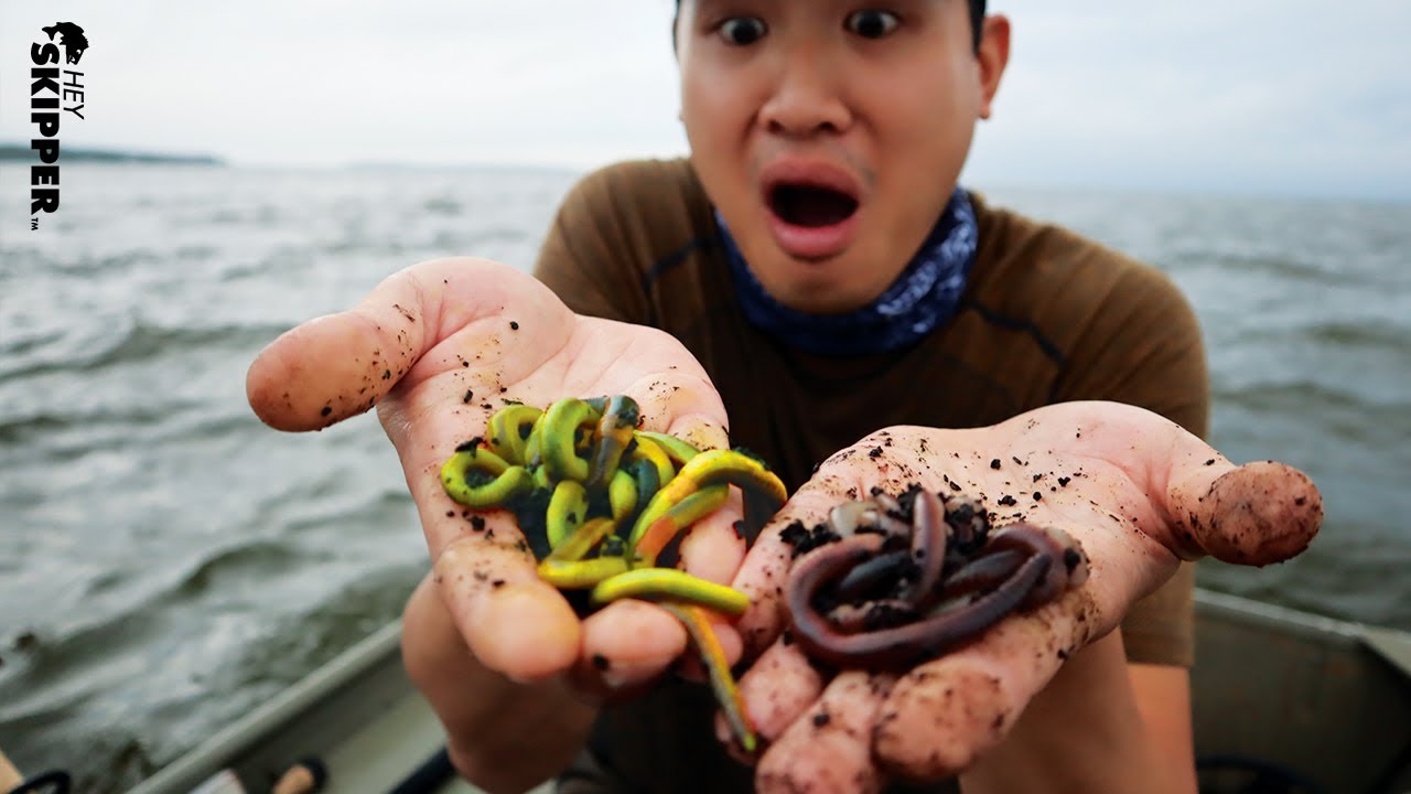 GLOWING GREEN Worms VS Regular Worms: Best Bait for Fishing?
