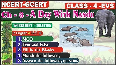A Day With Nandu II Worksheet Solution II Class 4 EVS Chapter 3 II@PratibhaJadhav