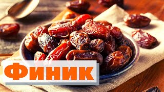 Финики |Как Это Сделано | Dates