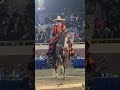 Feria ganadera en Culiacán!