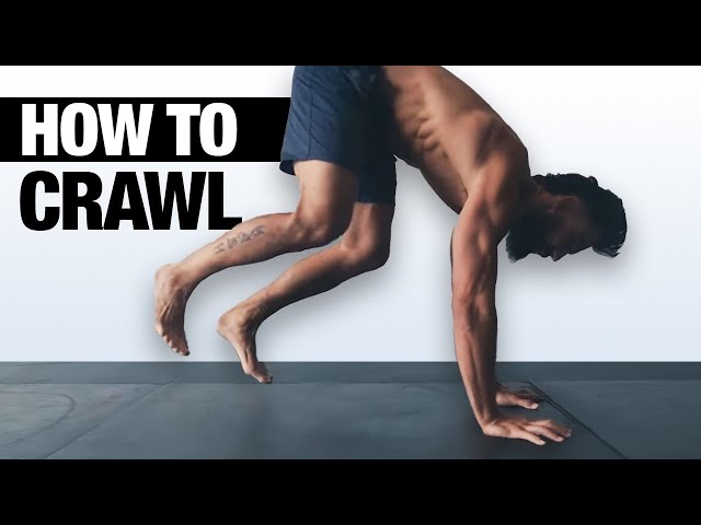 Beginner's Ground Movement (Crawling Basics Routine) class=