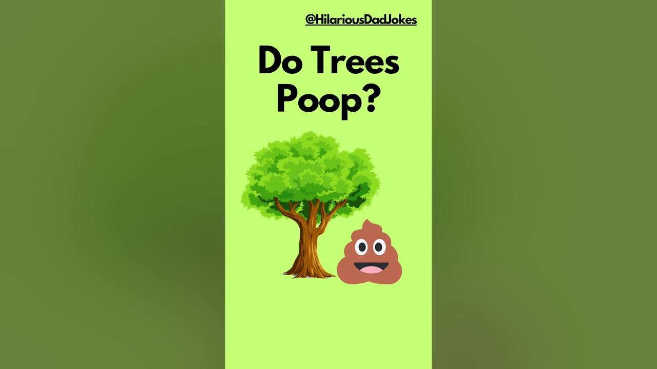 HILARIOUS JOKE! Do Trees Poop??? YouTube