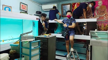 หนึ่ง ปรีดีย์พนมยงค์ 2 - "สลับที่ตู้ปลา + ลงตู้ใหม่ + O4FS 4 ใบ" วันที่ 1 Set 5