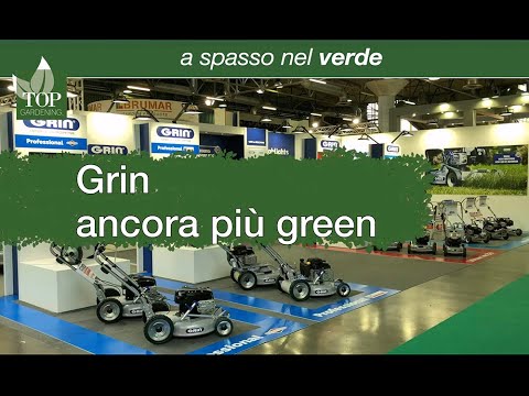 Video: Violet Verde (49 Fotografii): Descrierea Soiurilor RS-Green Lagoon și LE-Green Rose, EK-Malachite Orchid și RS-Emerald City, H-Green Tea și EK-Green Noduri