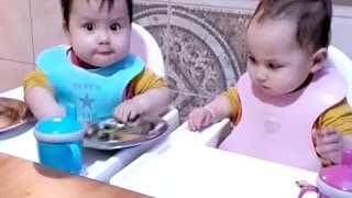 When two mighty babies fight for food...... by fun4era 239,857 views 9 years ago 1 minute