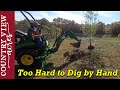 Using the backhoe attachment to plant pine trees and remove dead apple trees.  John Deere 2025