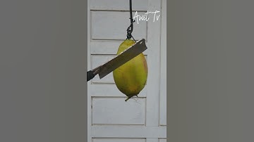 I beat the coconut with a very sharp machete