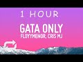 FloyyMenor - GATA ONLY ft. Cris MJ (Letra/Lyrics) | 1 hour